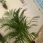 Casa Mina *