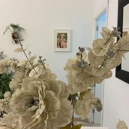 Casa Mina アパート *